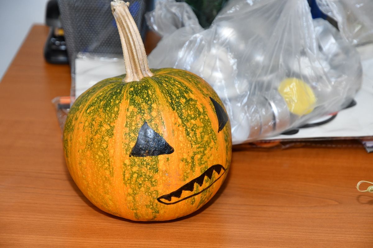 DSC_1793.JPG